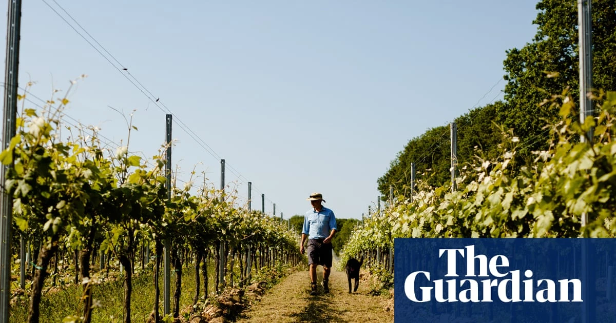 ‘We cannot do it the way our fathers did’: farmers across Europe struggle to adapt to the climate crisis