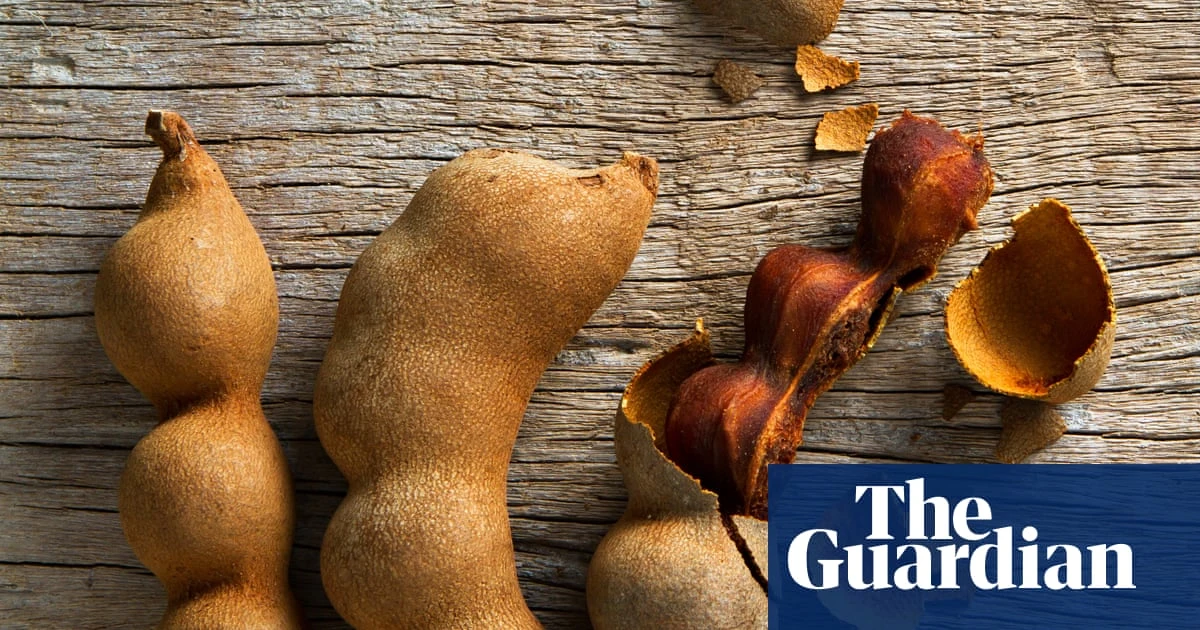 Sour power: how to use tamarind pods, pulp and paste | Kitchen aide
