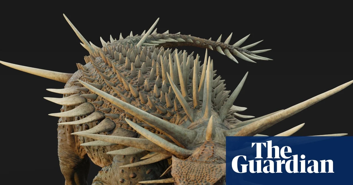 ‘Bristling with spikes’: oldest known ankylosaur fossil found in Morocco