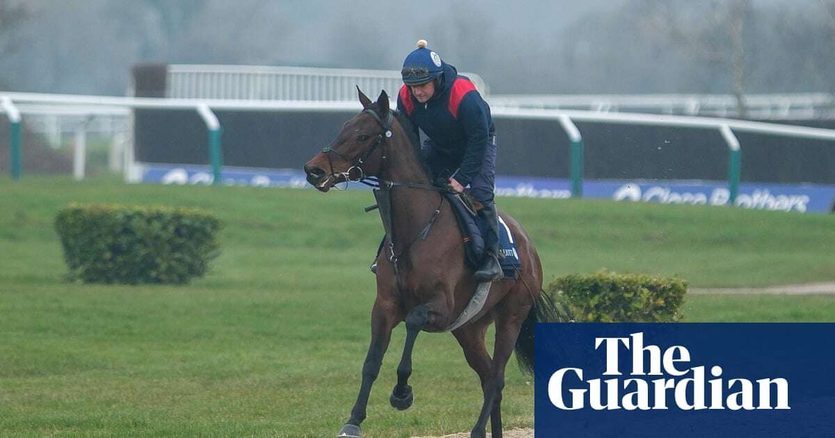 Cheltenham festival day one tips: Brighterdaysahead can upset Constitution Hill in Champion Hurdle