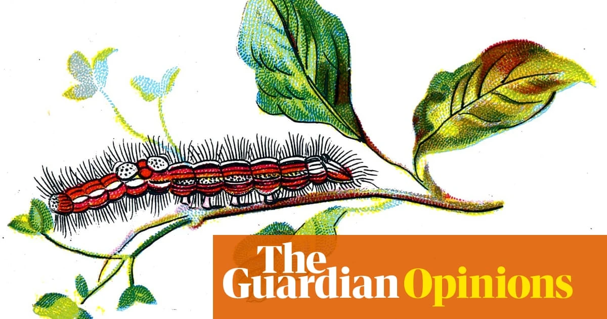 A hairy caterpillar: a ginger toupé, twitching cartoonishly | Helen Sullivan
