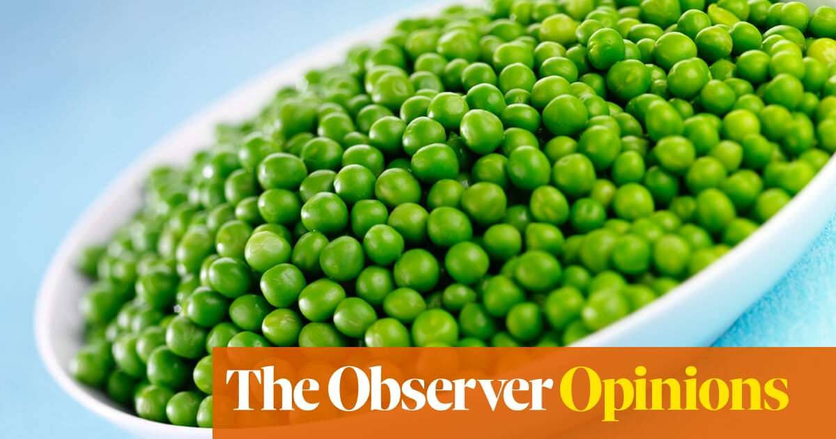 A dish of peas brings much weeping, wailing and gnashing of teeth