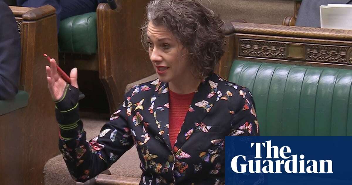 Labour MP Sarah Champion calls for grooming gangs inquiry