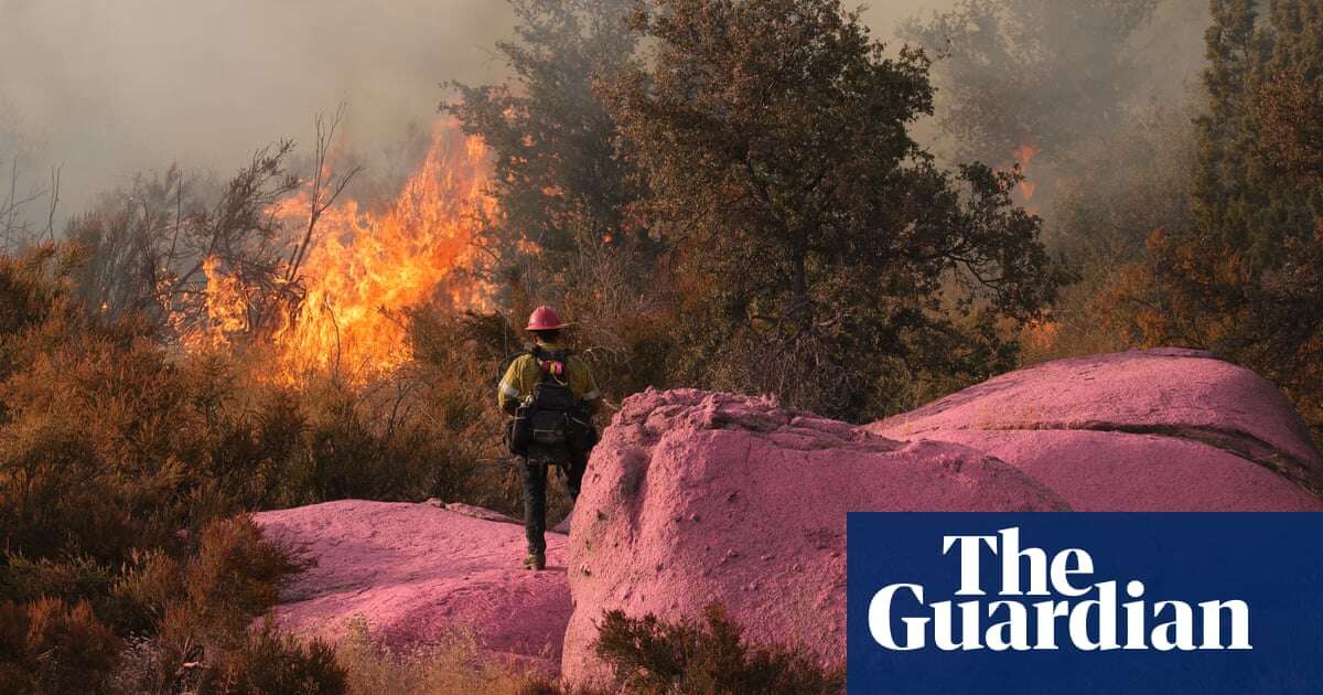 US wildfire suppressants rife with toxic heavy metals, study finds