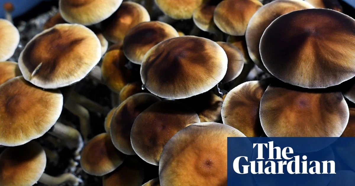 ‘I didn’t want to be on medication the rest of my life’: veteran runs psilocybin retreats for PTSD before FDA approval