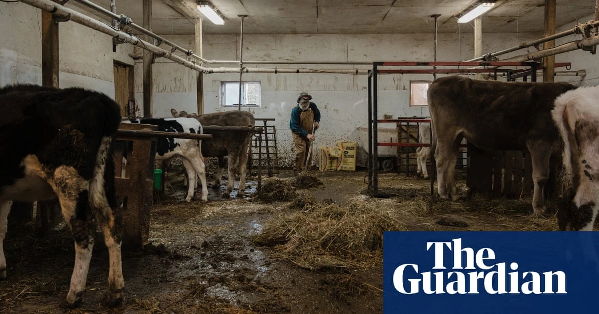 New bill could bail out US farmers ruined by ‘forever chemical’ pollution