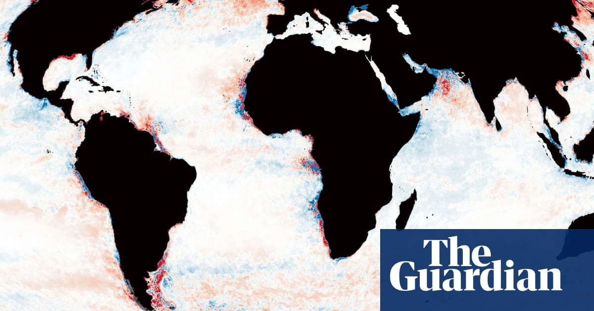Planet’s darkening oceans pose threat to marine life, scientists say