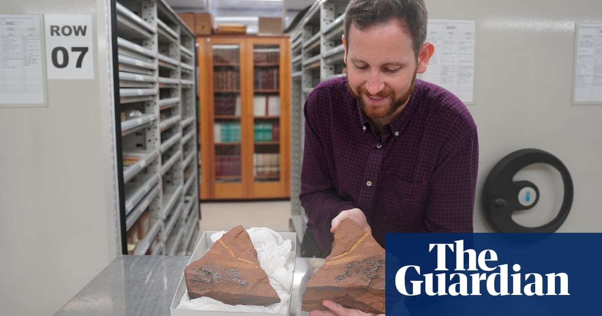 ‘It’s a history lesson’: fossil fish up to 16m years old found perfectly preserved in central NSW