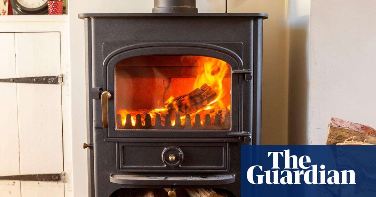 Phase out urban woodburners in UK to protect children’s health, say doctors