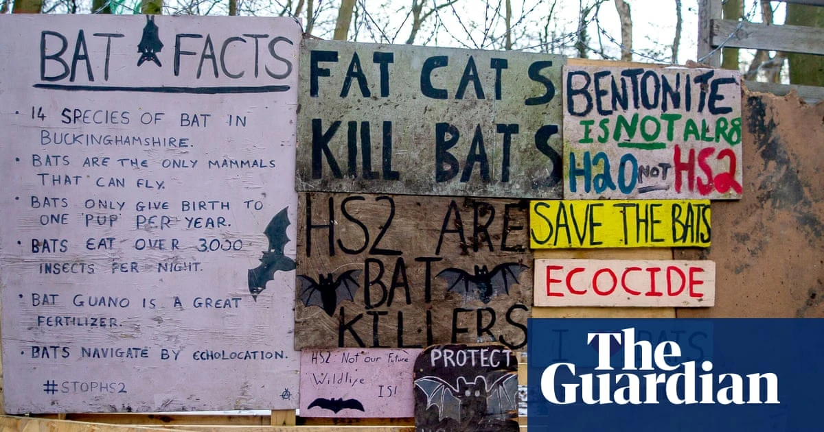 Wildlife charities urge Labour to scrap ‘licence to kill nature’ in planning bill