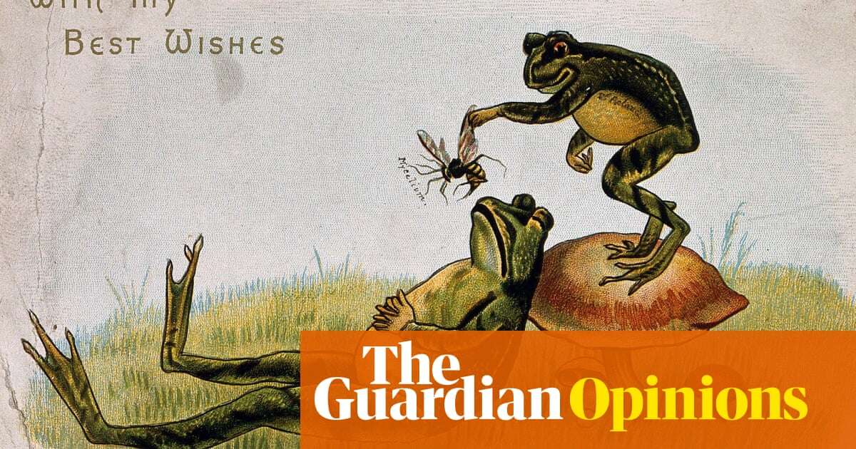 A frog: their eyes can detect a single photon of light | Helen Sullivan