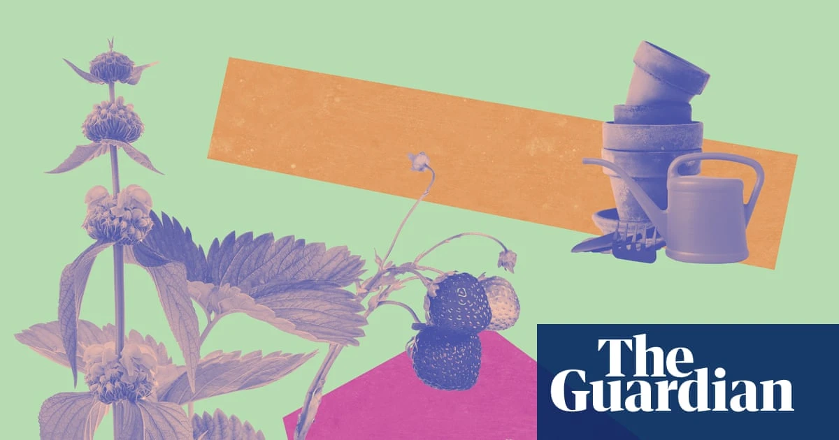 Buy small plants – and consider a ‘bulb lasagne’: how to give your garden a late-summer glow-up