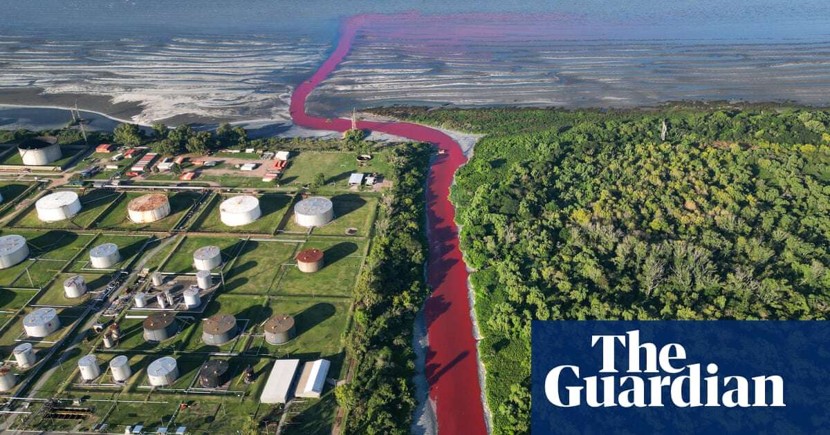 River near Buenos Aires turns bright red after suspected industrial dye leak