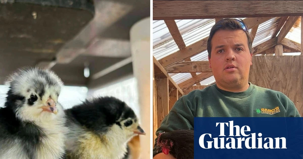 A disease outbreak nearly cost this US poultry farmer everything. One more could wipe him out