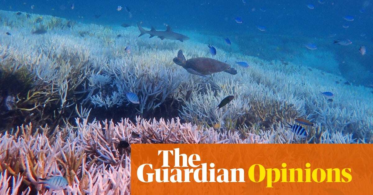 We can’t pretend we’re doing enough if we want to give the Great Barrier Reef a chance to survive | Adam Morton