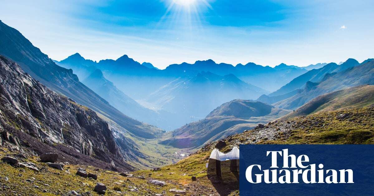 ‘Magical’: 17m insects fly each year through narrow pass in Pyrenees, say scientists