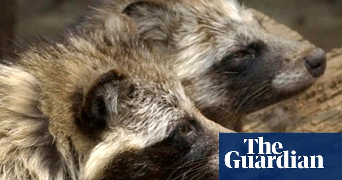 Today in Focus ‘It’s way beyond just science’: untangling the hunt for Covid’s origins
