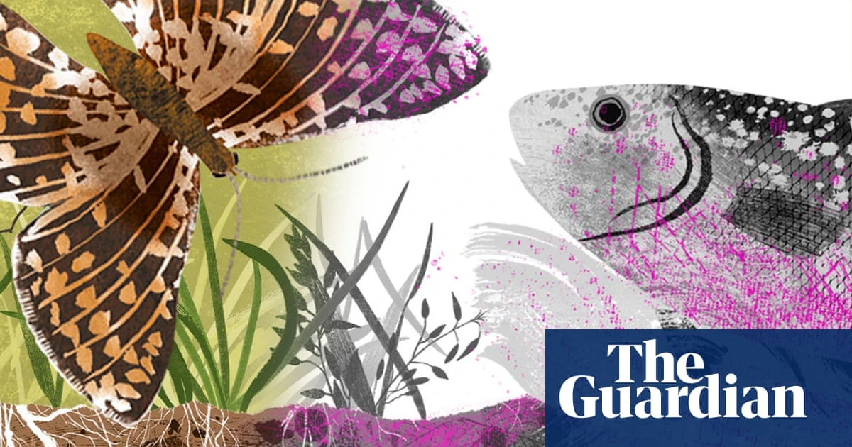 The life of microplastic: how fragments move through plants, insects, animals – and you