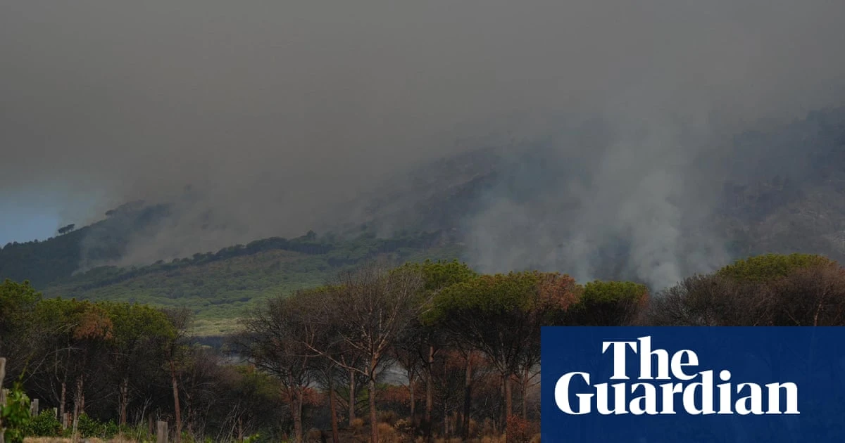 Wildfires close Mount Vesuvius trails while fierce blazes continue in France