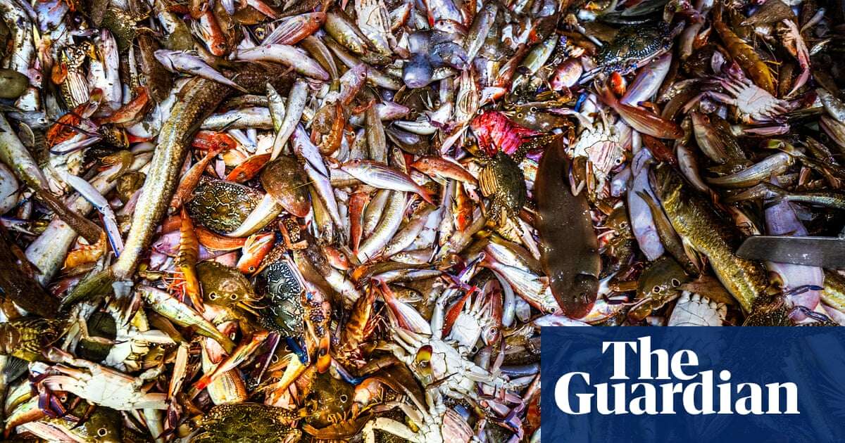 A day in the life of a Queensland prawn trawler – in pictures