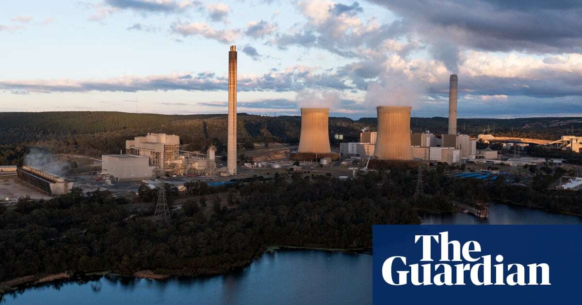 ‘Potential issues’ with Coalition’s planned nuclear reactor sites, safety expert warns