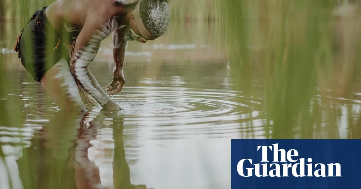 Adani’s Queensland coalmine a threat to important wetland, Indigenous groups and scientists say