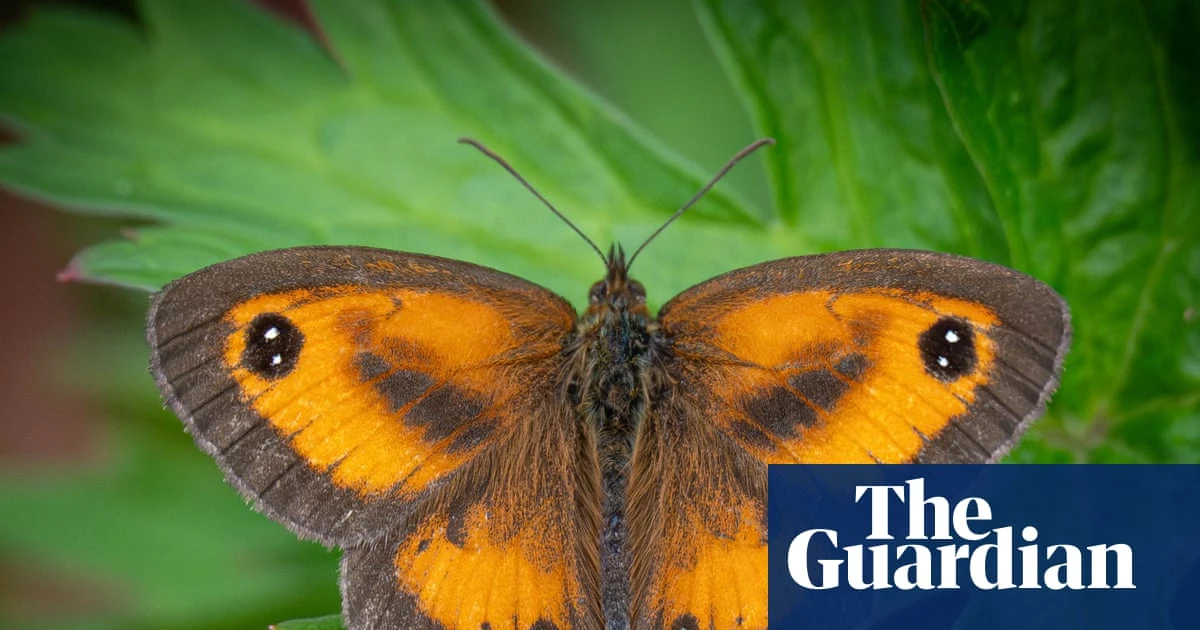 Air pollution filters help scientists produce first UK wildlife survey using eDNA