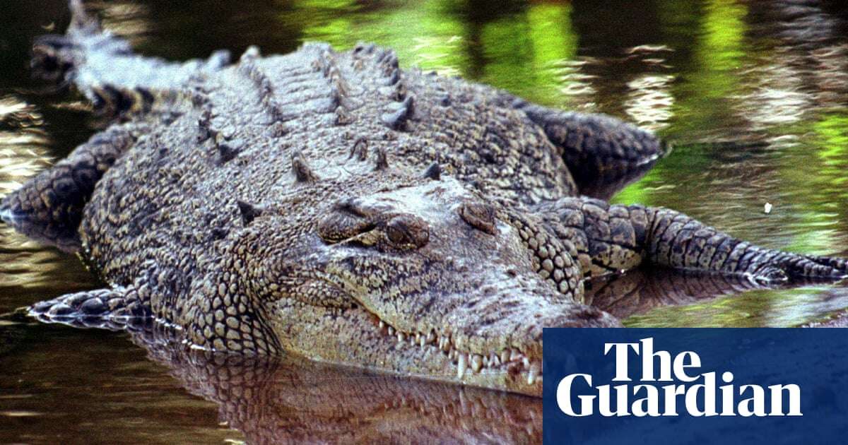 DNA testing could be used to detect elusive crocodiles, Queensland officials say