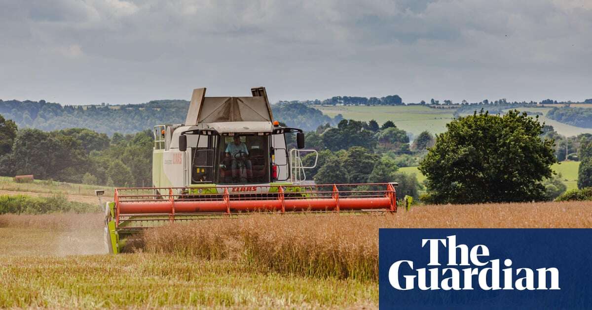 Farm income falls in England after extreme weather and subsidy cuts