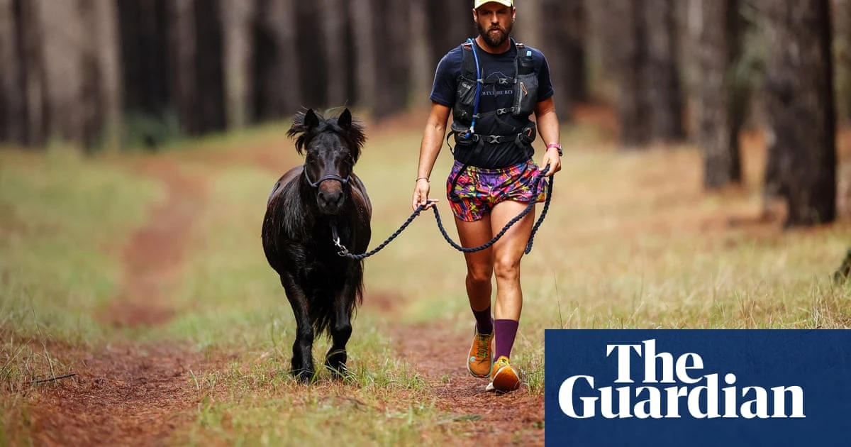 Miniature horses race in New Zealand’s big wilderness – in pictures
