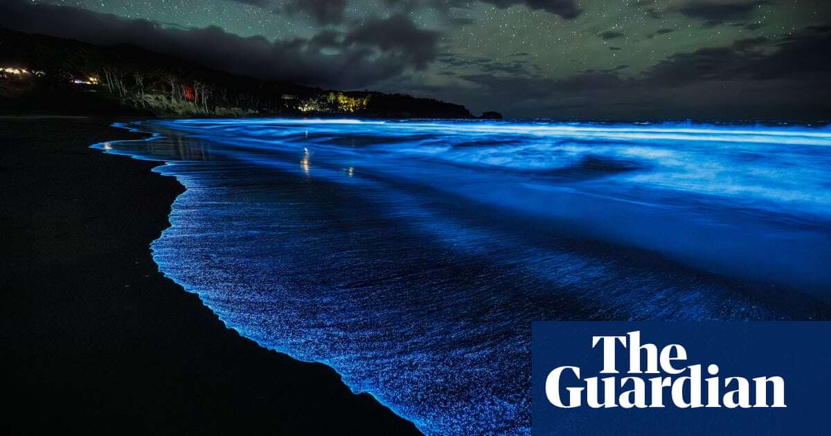 ‘Heck of a light show’: spectacular bloom of bioluminescence returns to Tasmania’s coastline