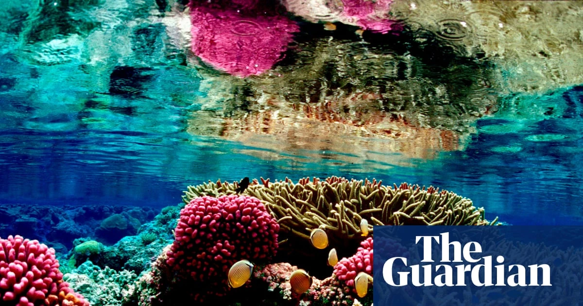 Court overrides Trump officials’ rollback and blocks fishing in Pacific Islands monument