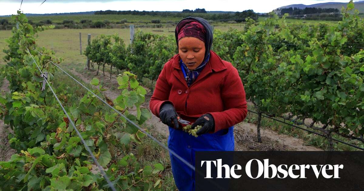 Colder and bolder: discovering the joy of cool-climate wines