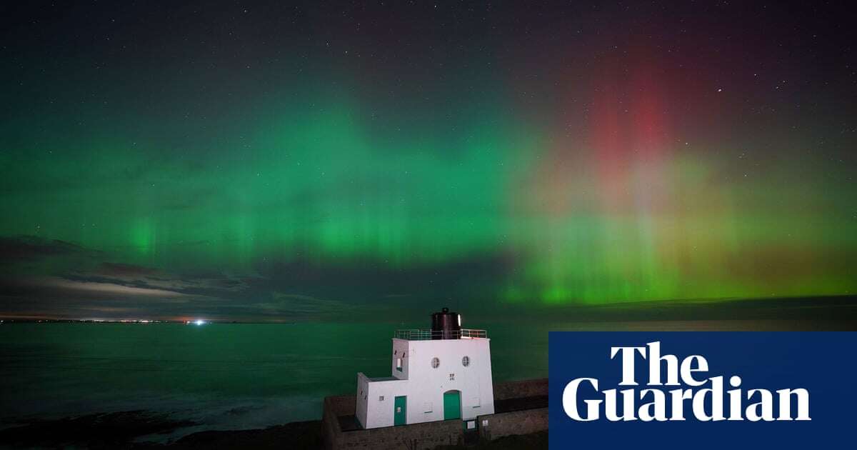 Winter to bring best northern lights displays for 20 years, scientists say