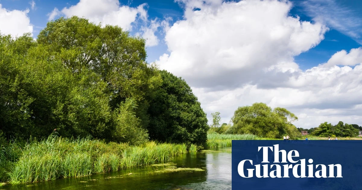 Council recognises right of River Test to flow unimpeded and unpolluted