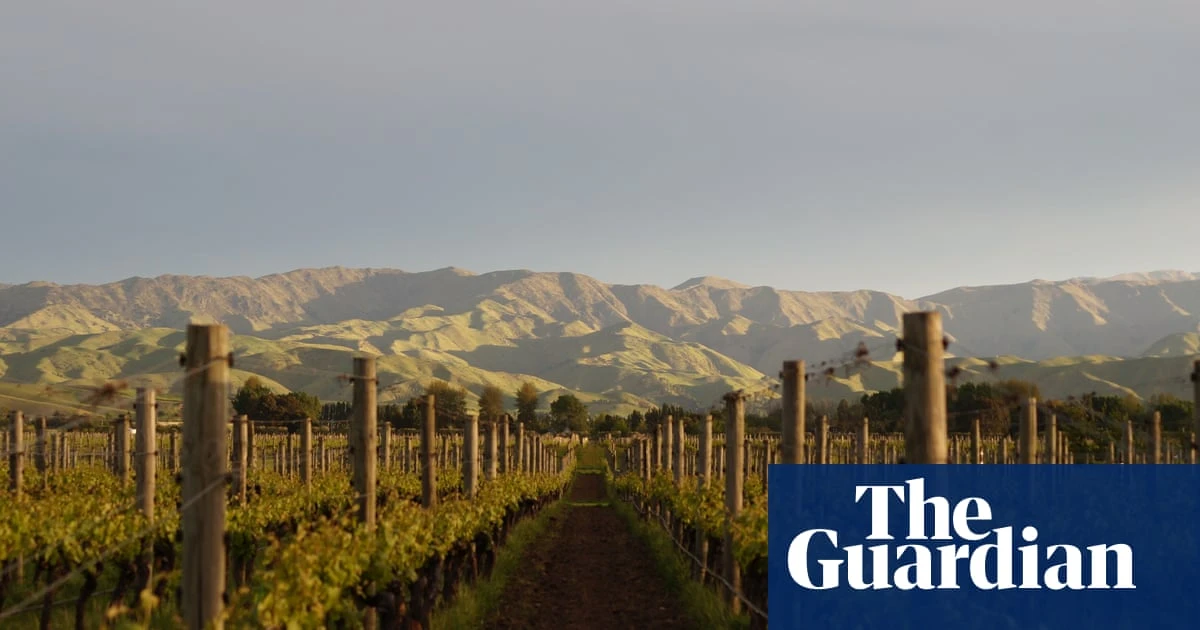 Why we shouldn’t turn up our noses at New Zealand sauvignon blanc