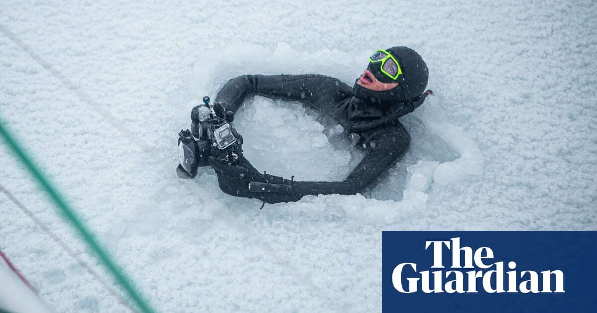 Ice dives, walrus snaps and whale encounters: the man telling extreme stories of an Arctic at risk