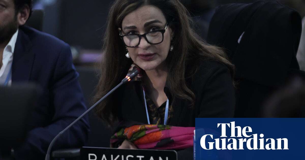 Cop29: ‘We’re here for life and death reasons,’ says ex-climate minister of Pakistan