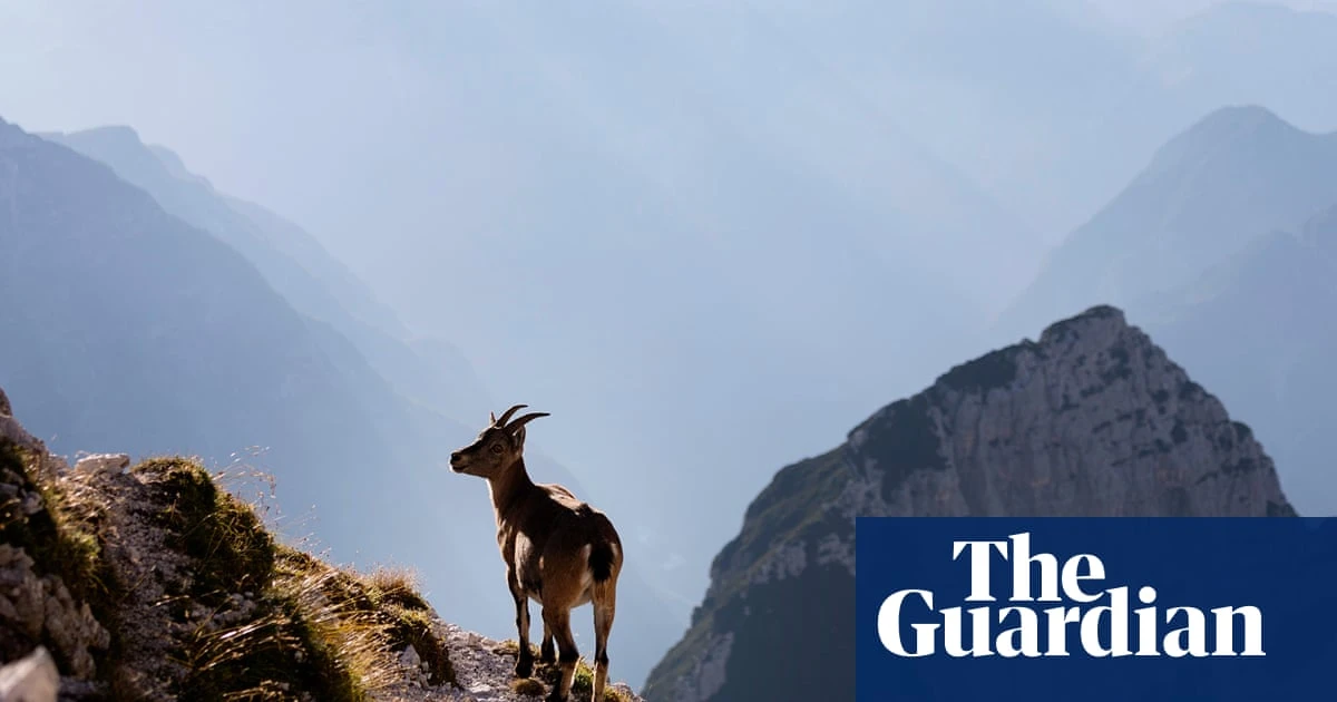 ‘If you love adventure but not tourists’: readers’ favourite wild places in Europe