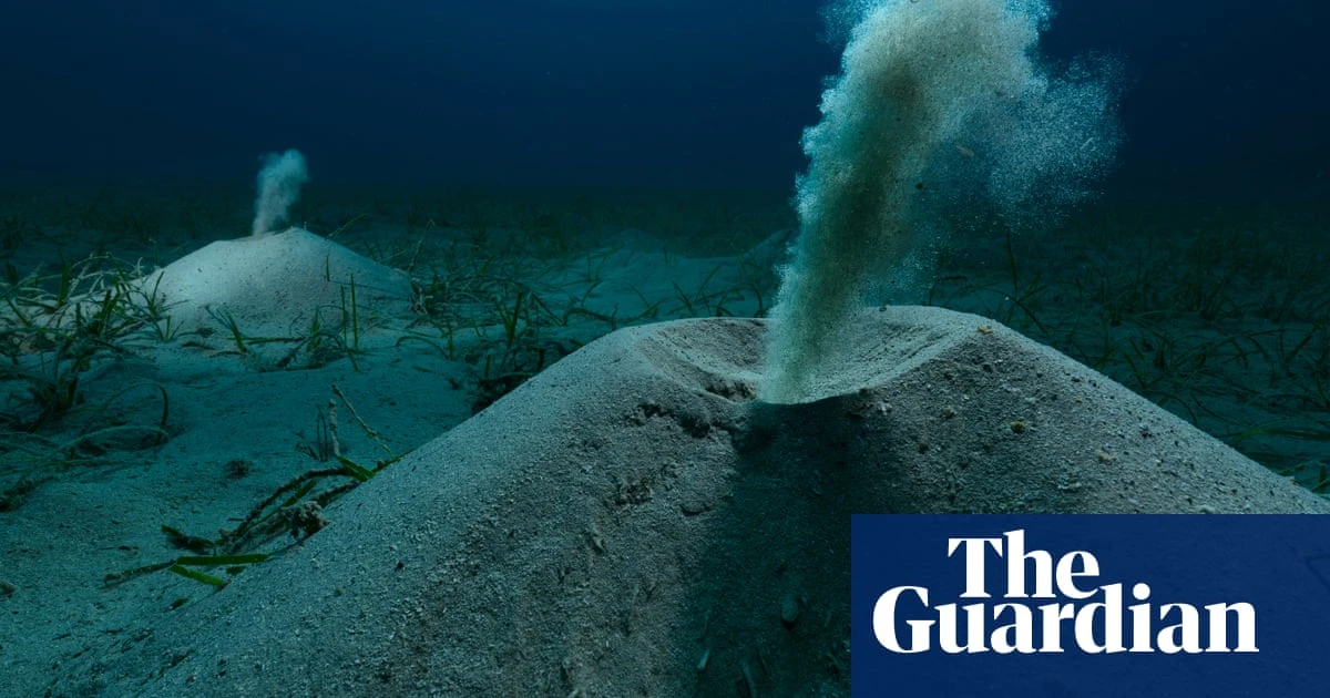 A seadragon and flushing worms: Environmental Photography Award winners – in pictures