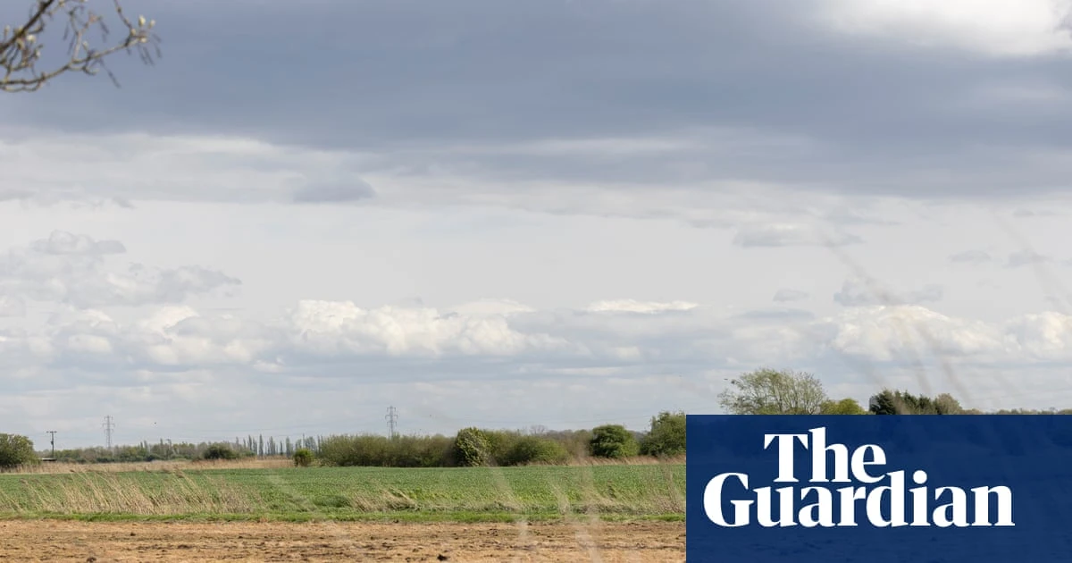 Nature loss will cut UK GDP by 5% without action from private sector, say experts