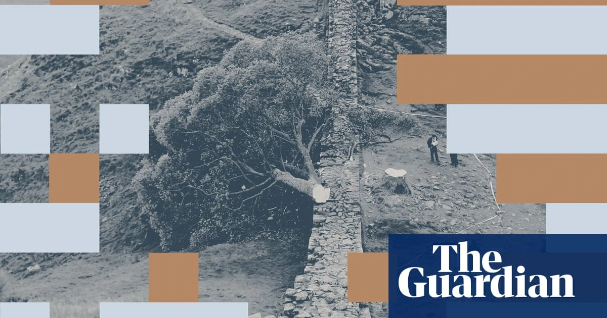 There’s no excuse for chopping down a thing of beauty. And I don’t just mean the Sycamore Gap tree