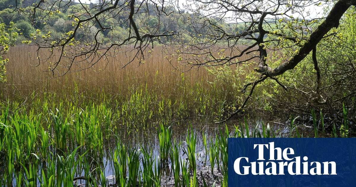 English wildlife ‘could be disappearing in the dark’ due to lack of scrutiny