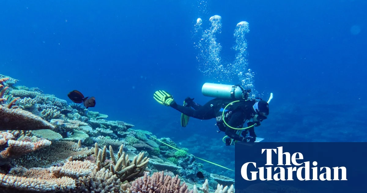 Great Barrier Reef suffers biggest annual drop in live coral since 1980s after devastating coral bleaching
