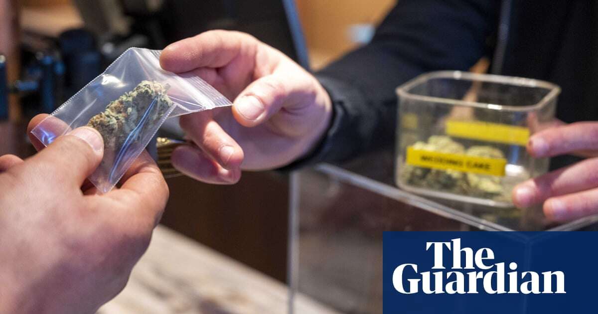 Bacteria and pesticides found in cannabis sold in Dutch coffee shops