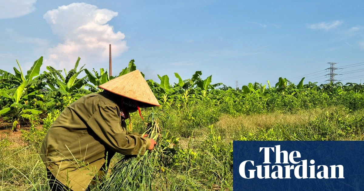 Farmers displaced by $1.5bn Trump golf course reportedly being offered rice and cash