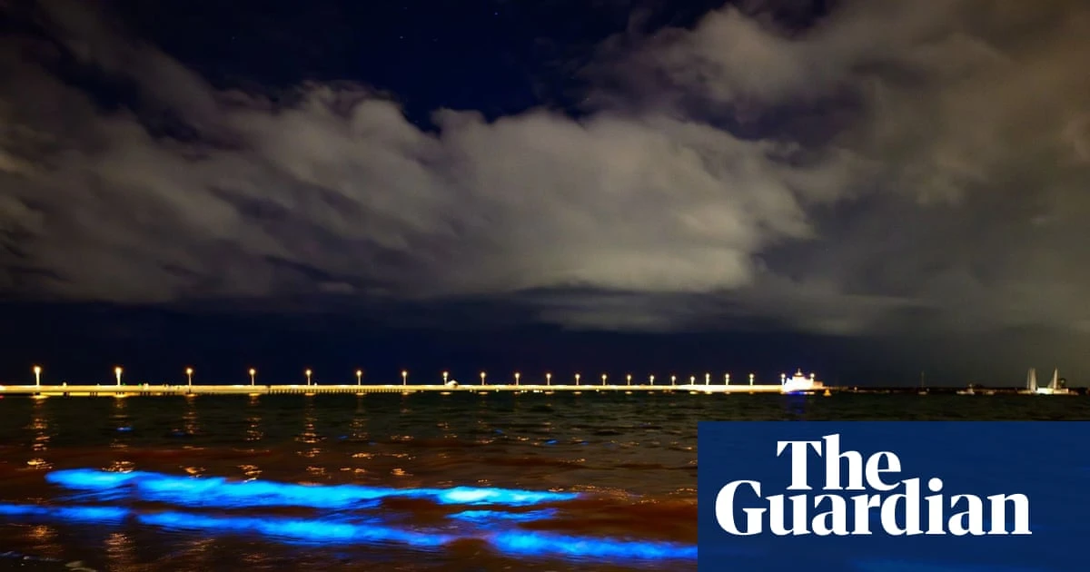 ‘Cosmic’ bioluminescent algae lights up Melbourne’s St Kilda beach