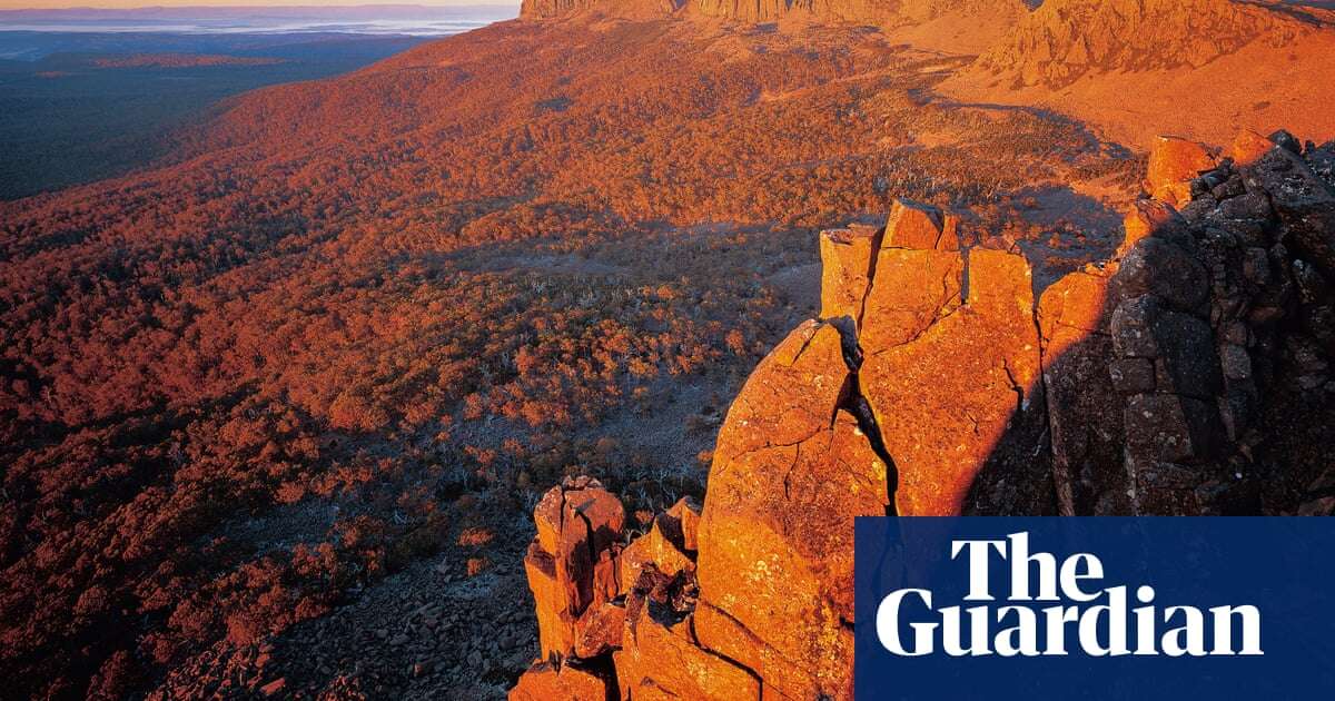 Maps reveal parts of protected Tasmanian native forest that could be open to logging, environmentalists say