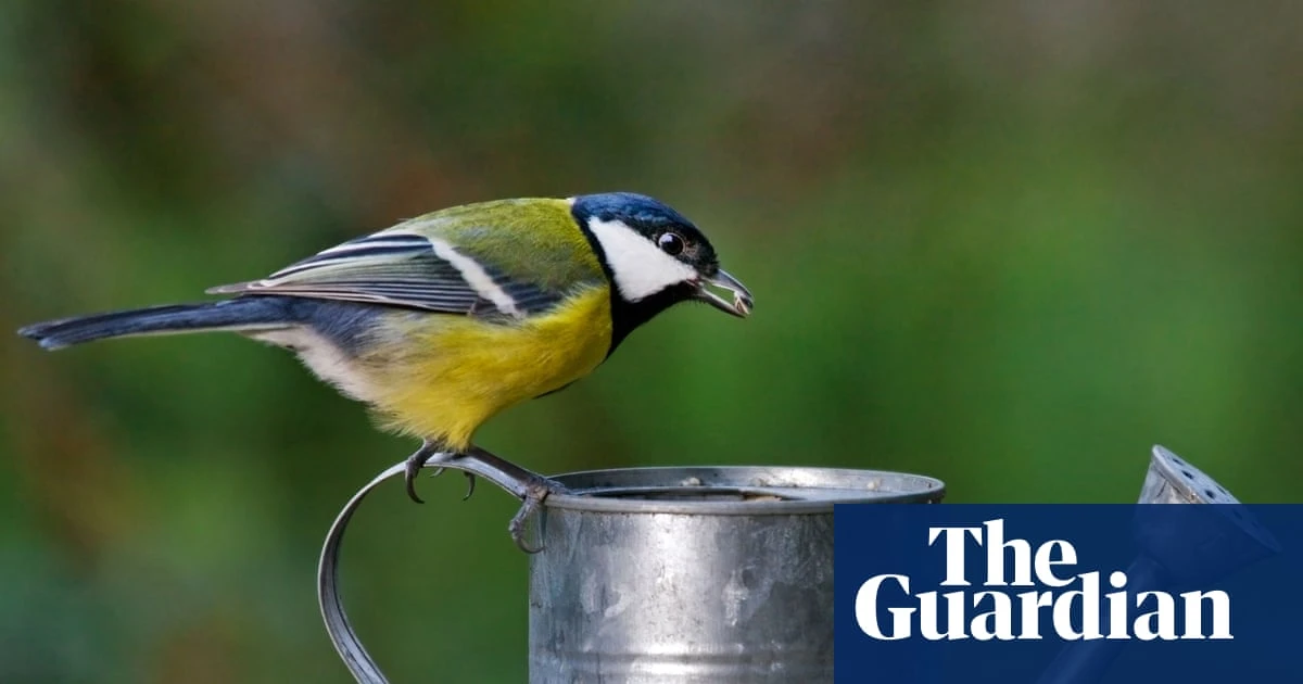 Crossword editor’s desk: time, space and revolutionary watering cans