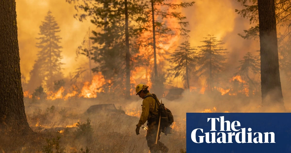 Wildfire smoke may increase the risk of dementia, study finds